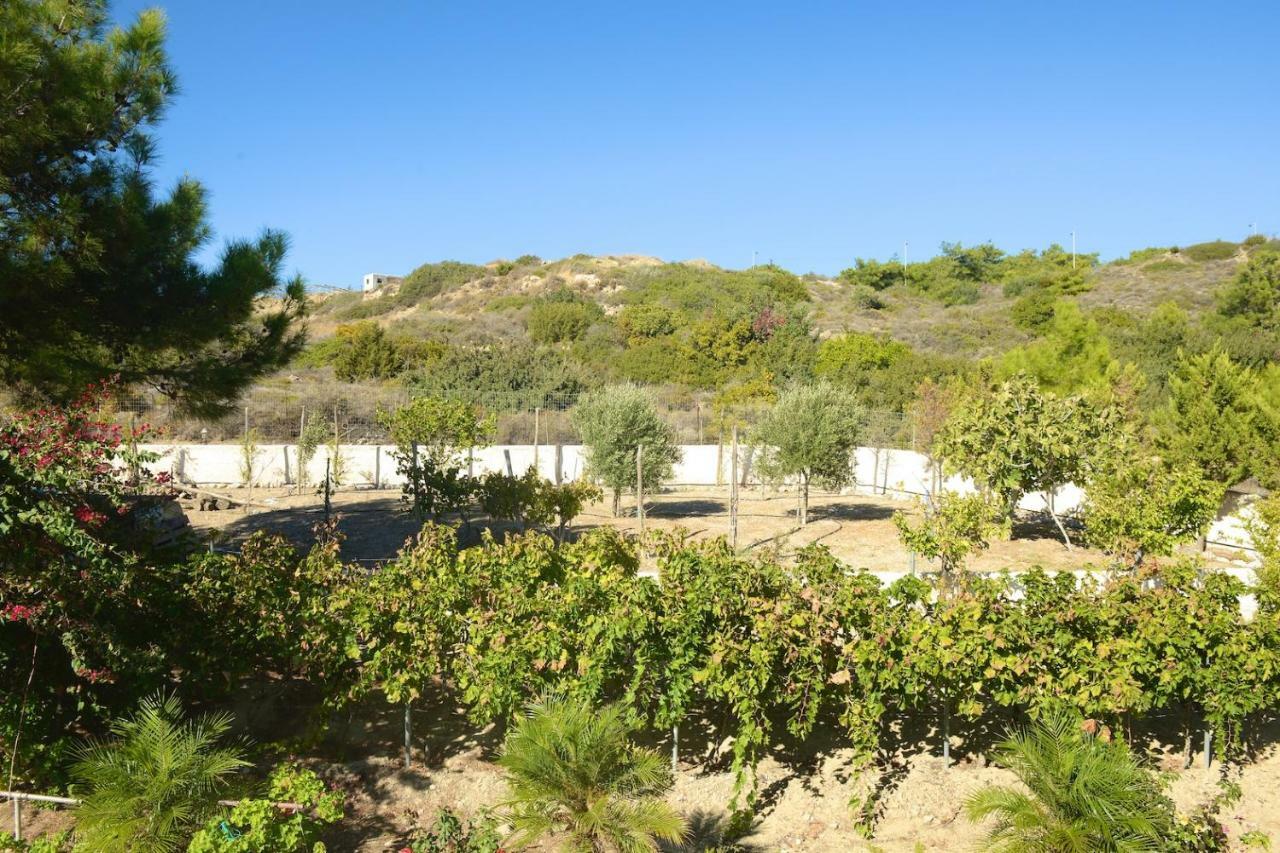 Blue Harmony Villas Kiotari Esterno foto